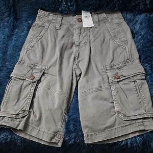 American Eagle Outfitters Men's Light Gray Cargo Shorts